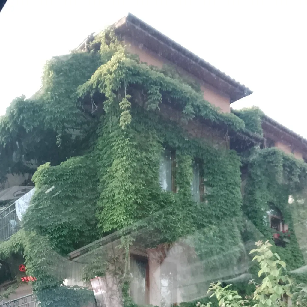 chat with ai character: MD school