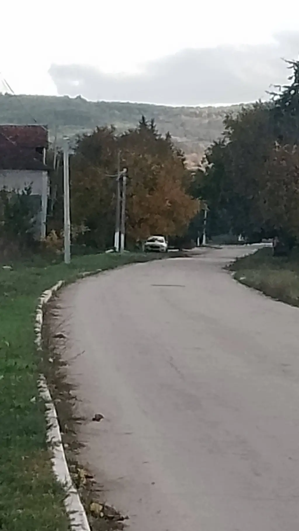 ai character: Wild Kratts betray background