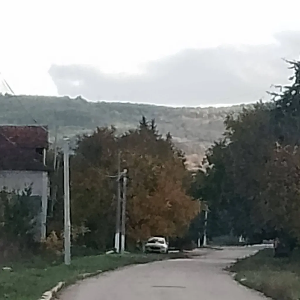 chat with ai character: Wild Kratts betray