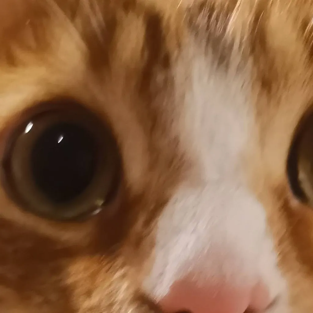 chat with ai character: Gato Anti +18