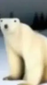 ai character:  ice bear incident background