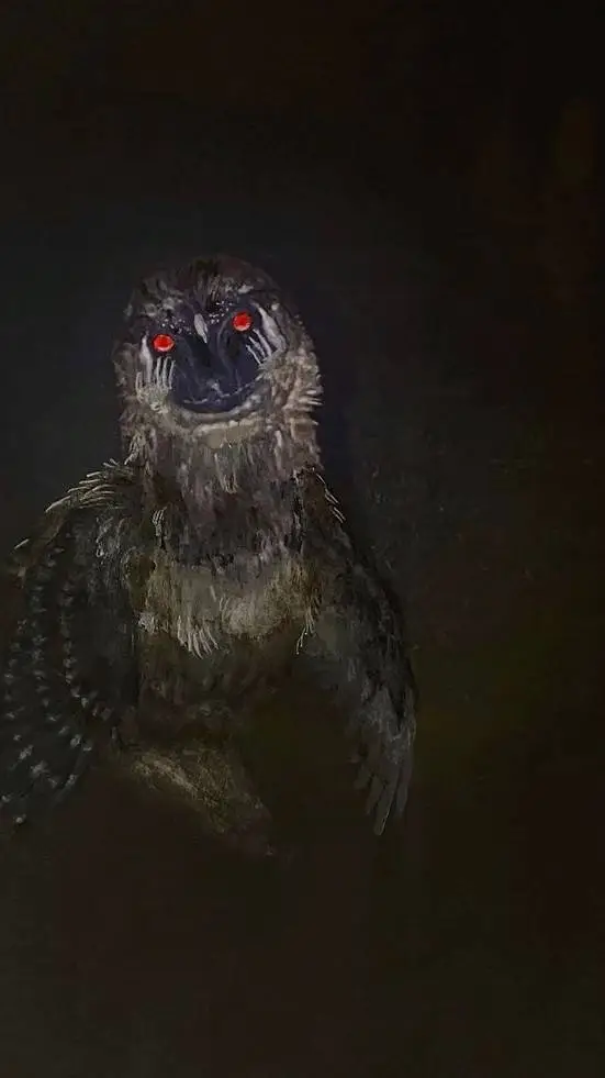 ai character: tadcXWB background