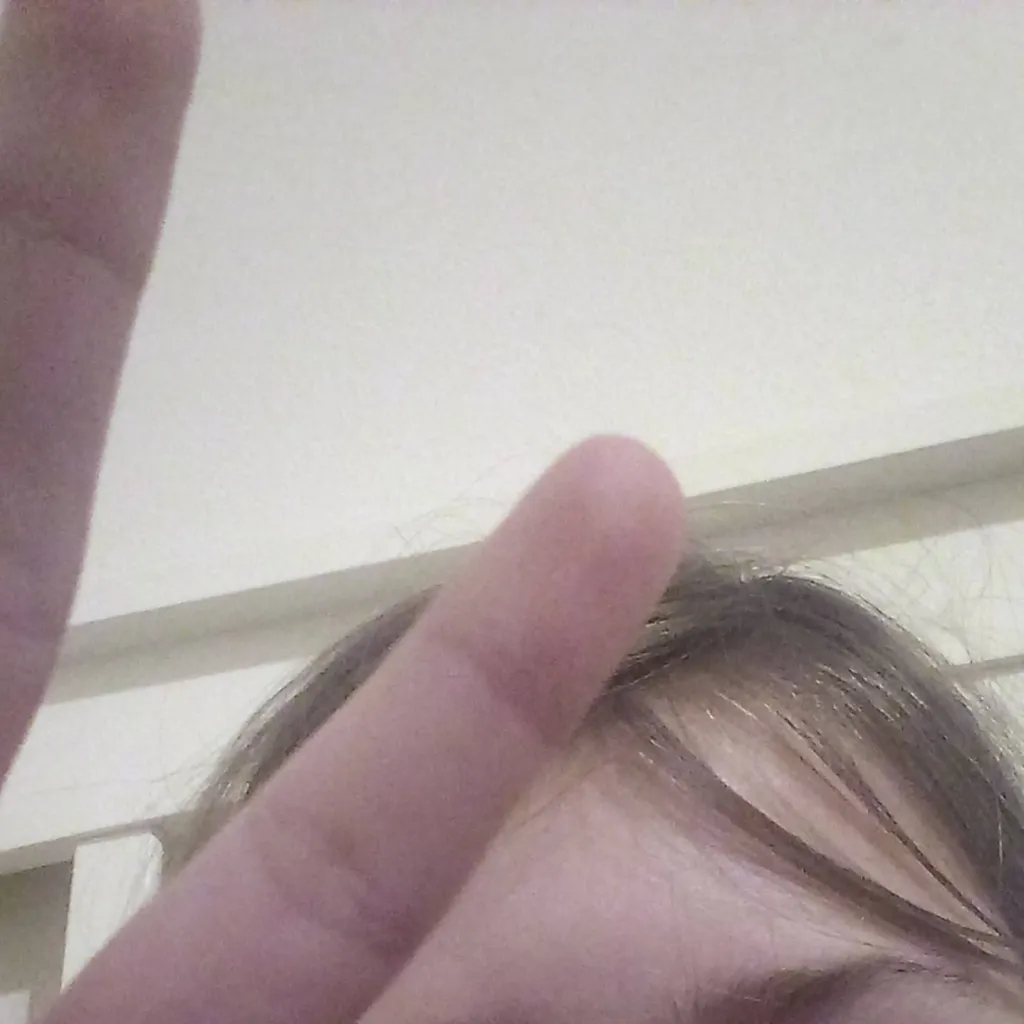 chat with ai character: rose