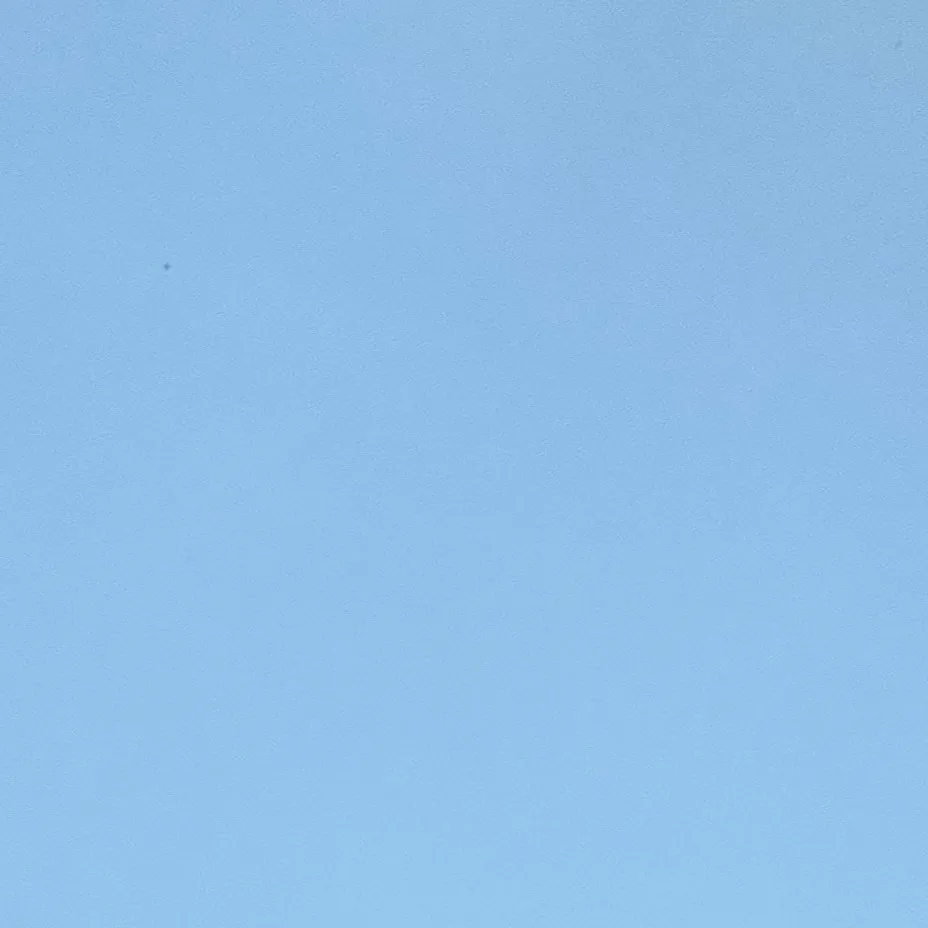 chat with ai character: Y/N Beganovic!!