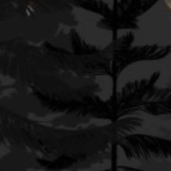 chat with ai character: Leo