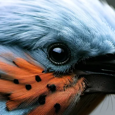 chat with ai character: island