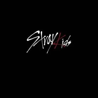 chat with ai character: stray kids..skz