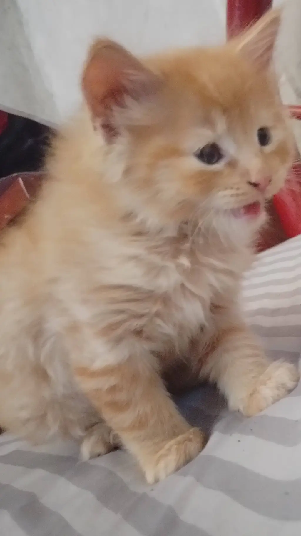 ai character: stranger things background