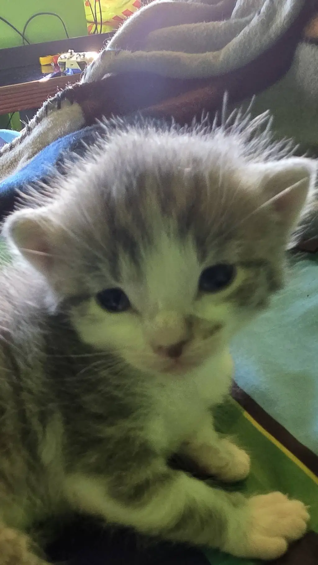 ai character: (read intro) background