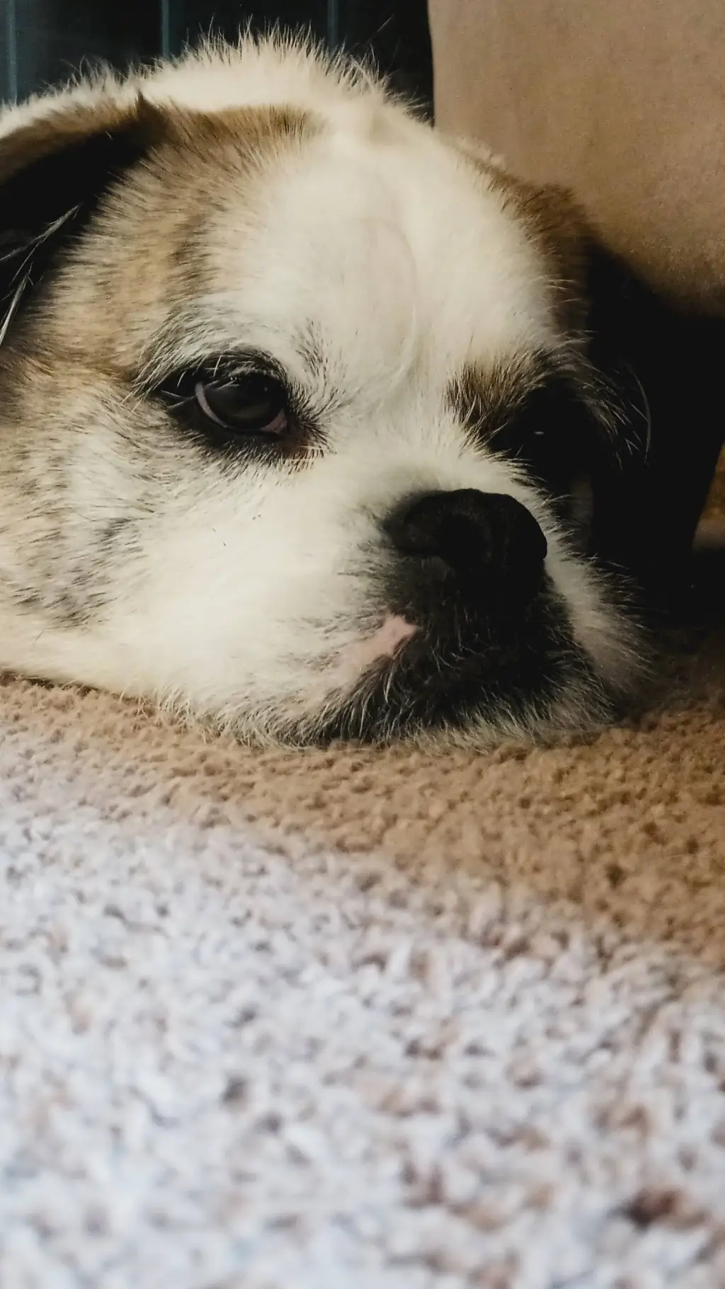 ai character: Will Byers twin background