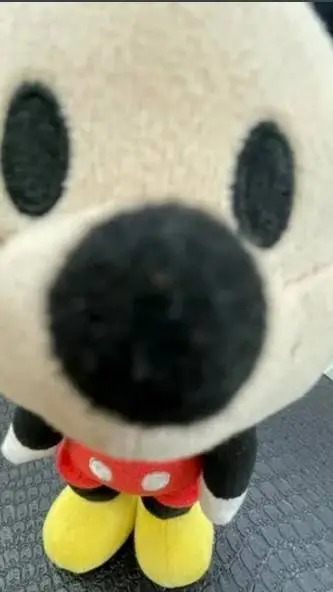 ai character: Mha Cat Disease background