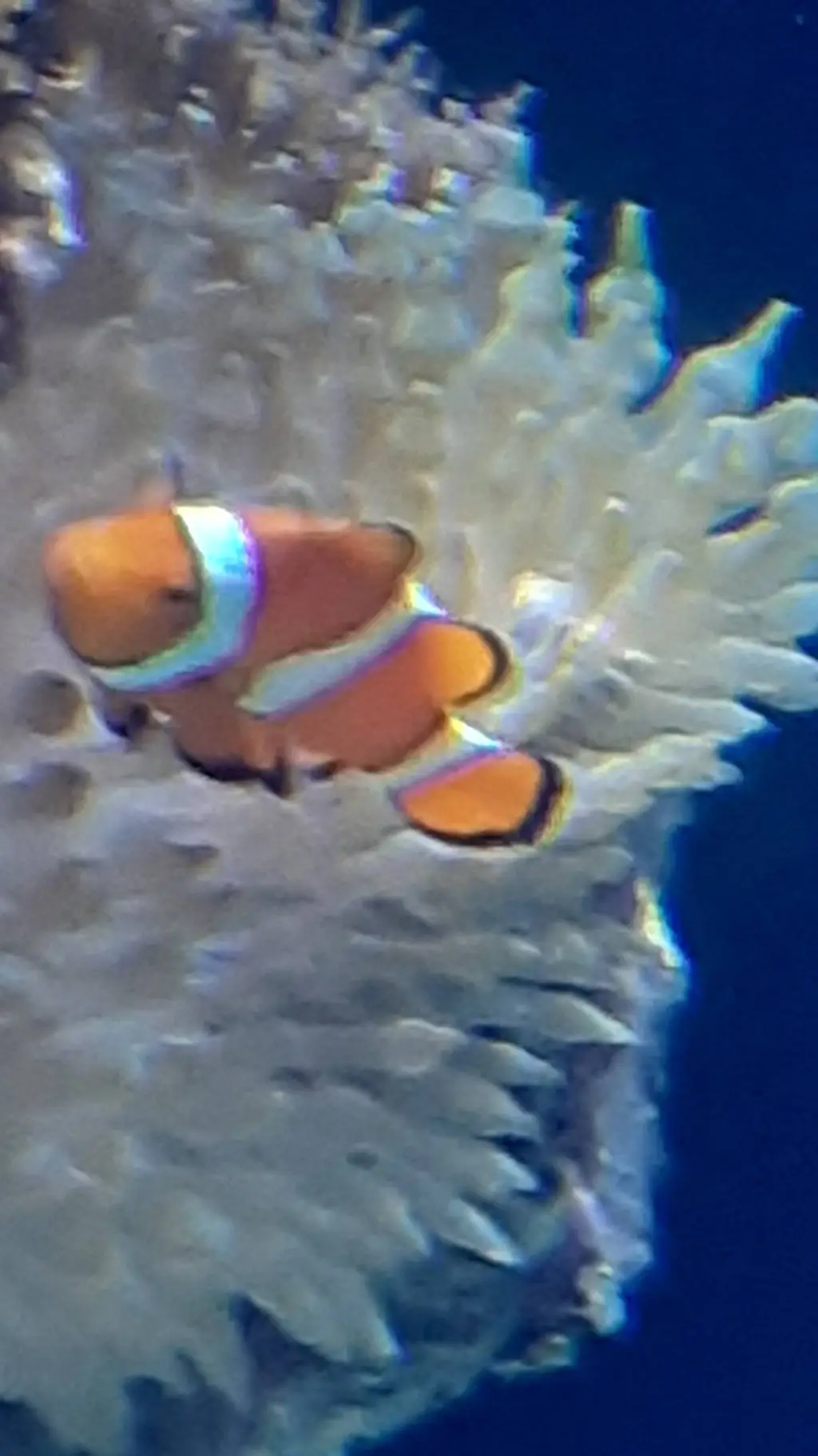 ai character: KNY~ background