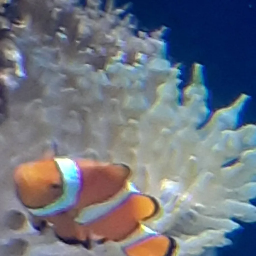 chat with ai character: KNY~