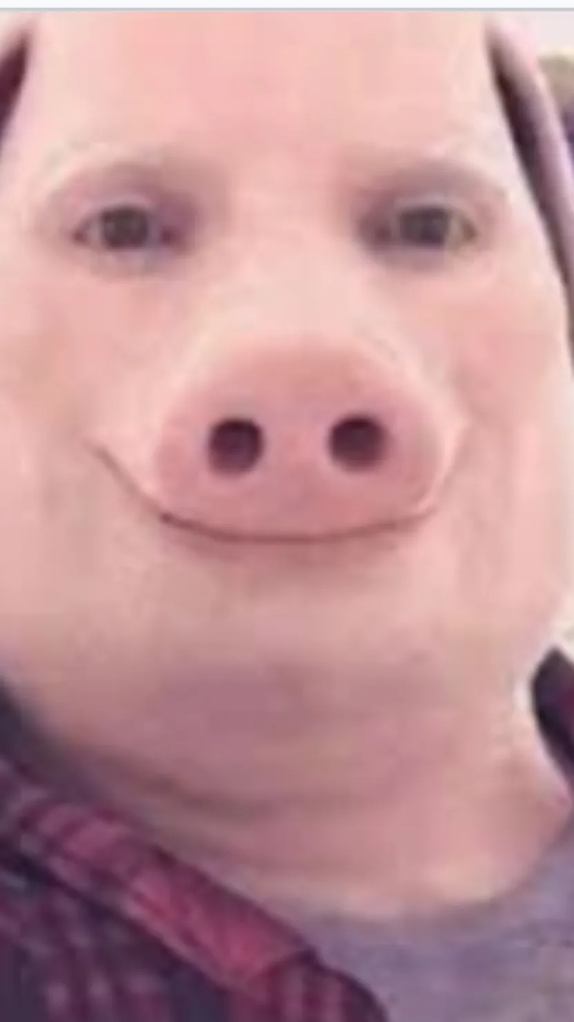 ai character: John pork  background