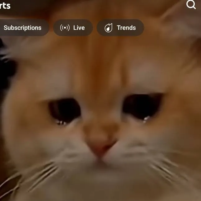 chat with ai character: Girlly