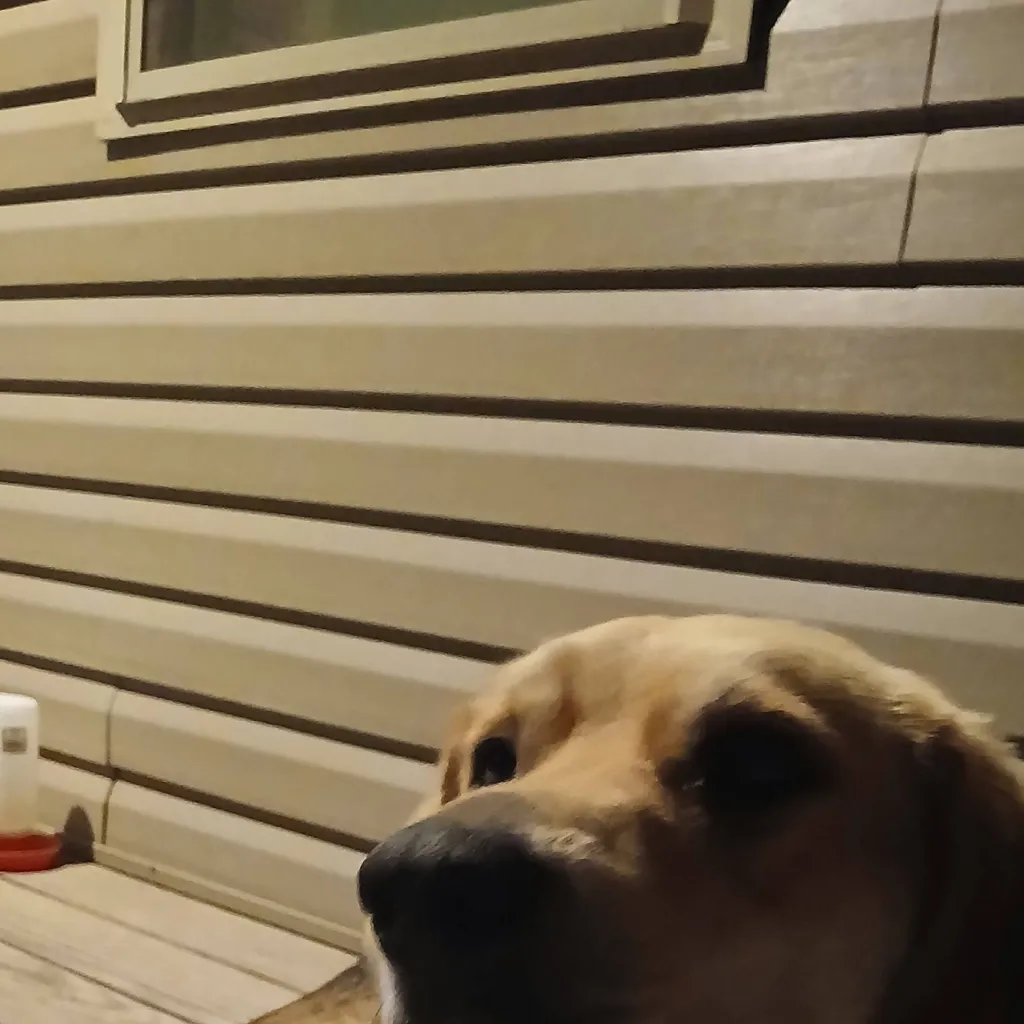 chat with ai character: guni