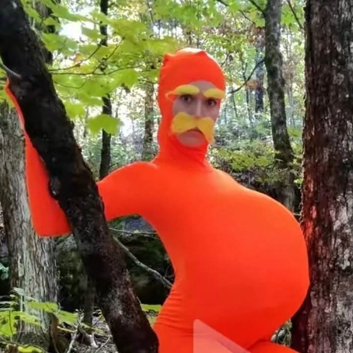 chat with ai character: THE LORAX!