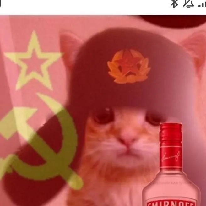 chat with ai character: gato comunista 🇷🇺