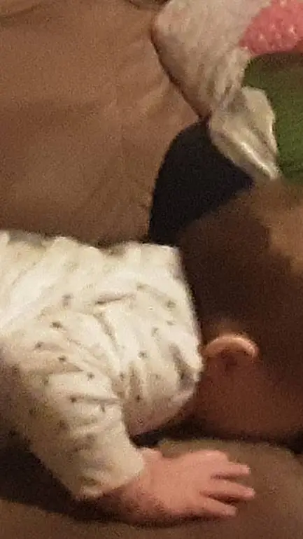 ai character: my sister background