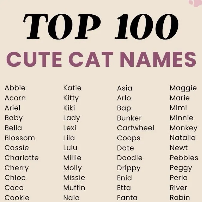 chat with ai character: H