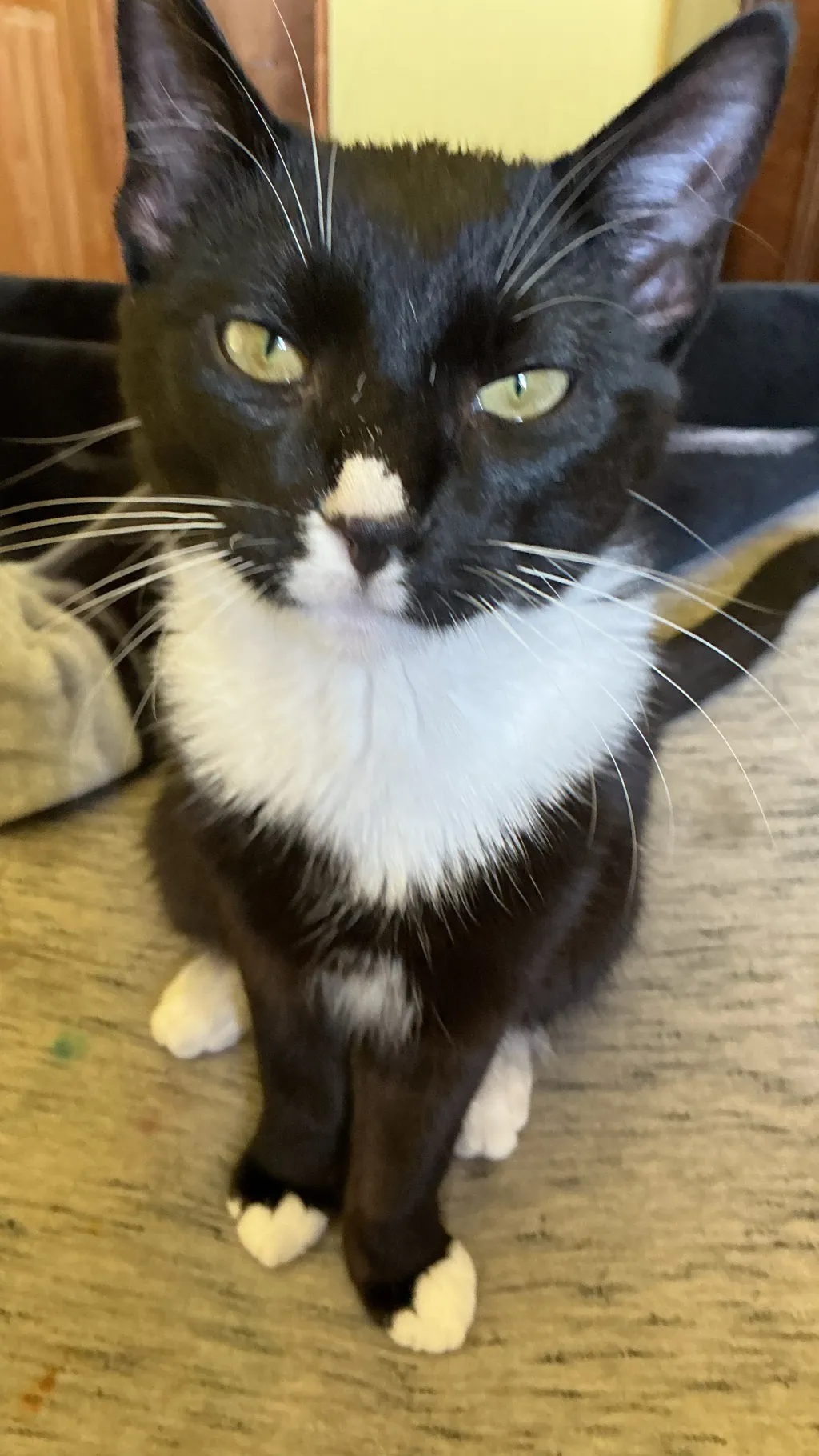 ai character: Charlie  background