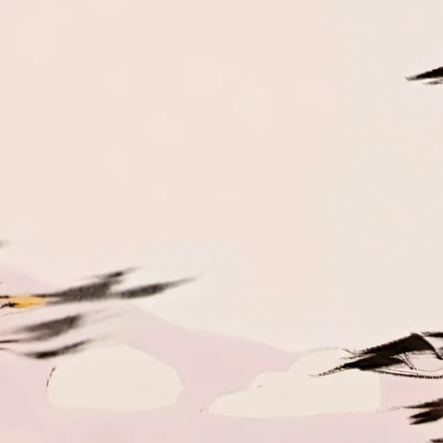 chat with ai character: {sukuna}