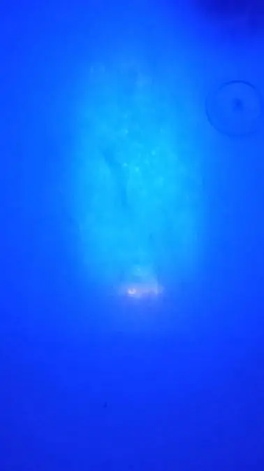 ai character: fandom meet... background