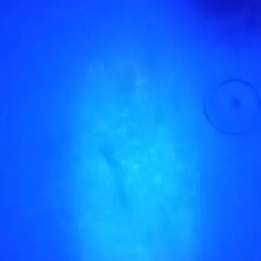 chat with ai character: fandom meet...