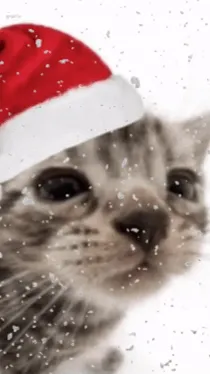 ai character:  Chrismas cat background