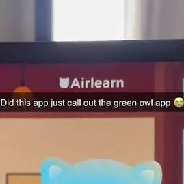 chat with ai character: airlearn cat 😜💀🔥