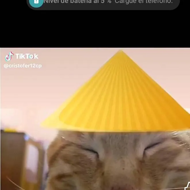 chat with ai character: gato chino