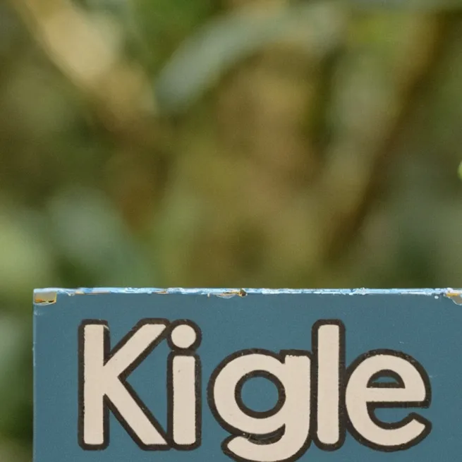 chat with ai character: Kigle Company 