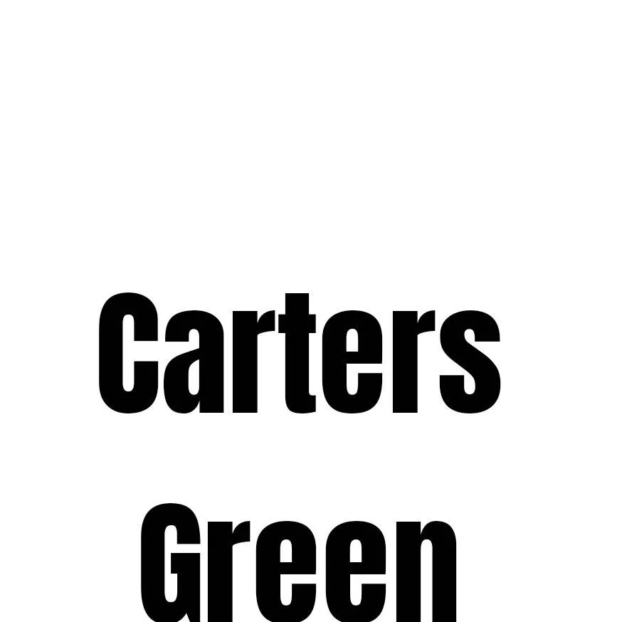 chat with ai character: Carters Green