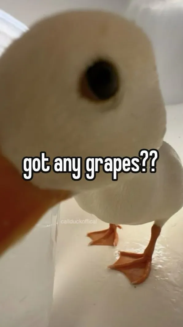 ai character: mha loves u! background