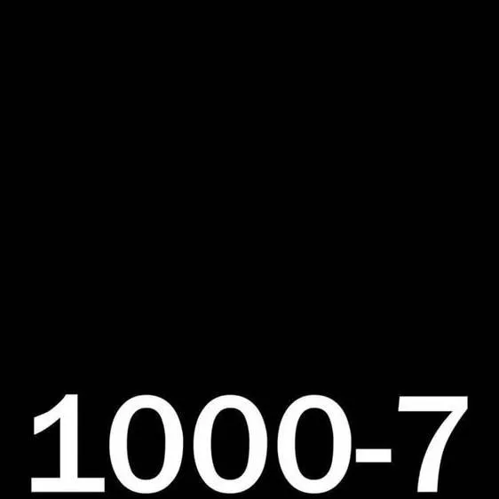 chat with ai character: 1000-7