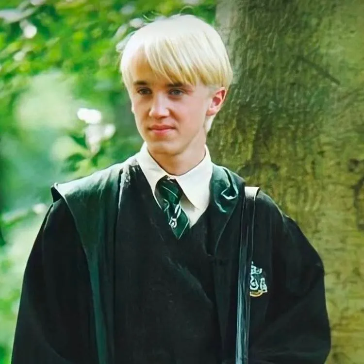 chat with ai character: Draco Malfoy 