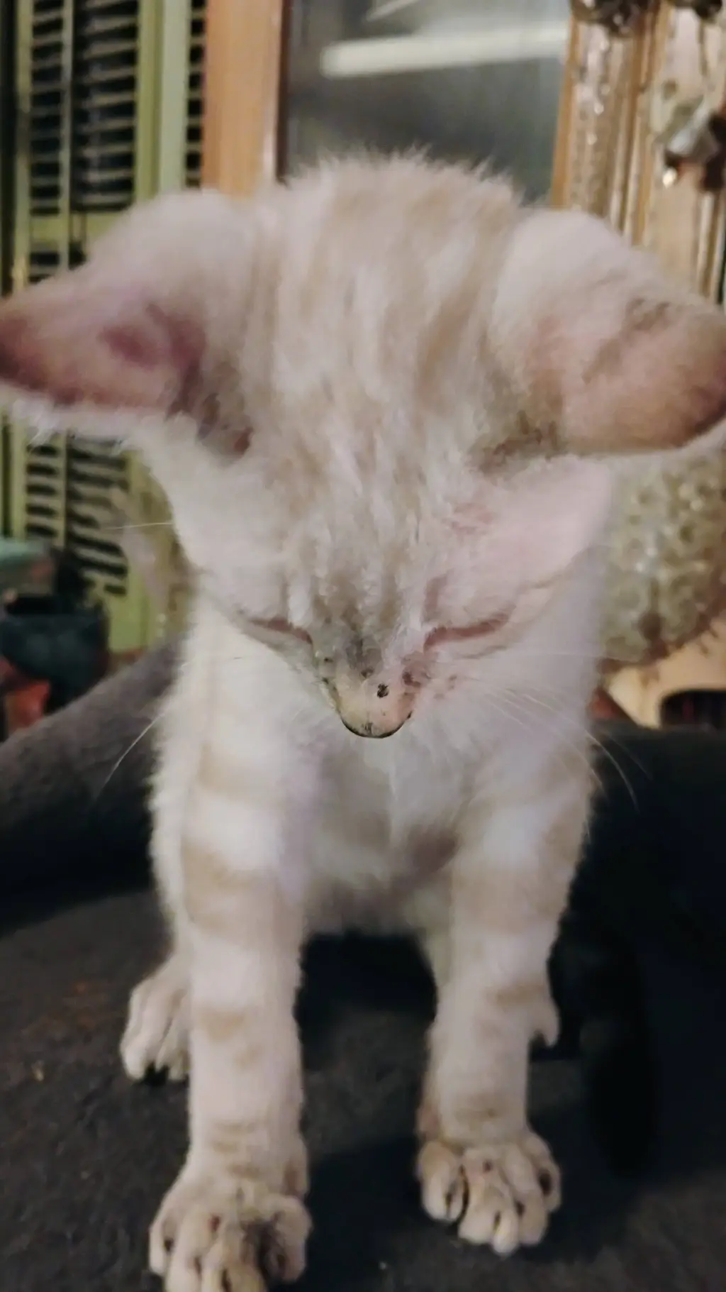 ai character: Leo background