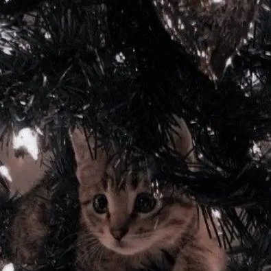 chat with ai character: -котик-