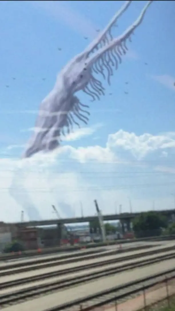 ai character: bird watcher background