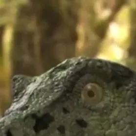 chat with ai character: baby tarbosaurus 