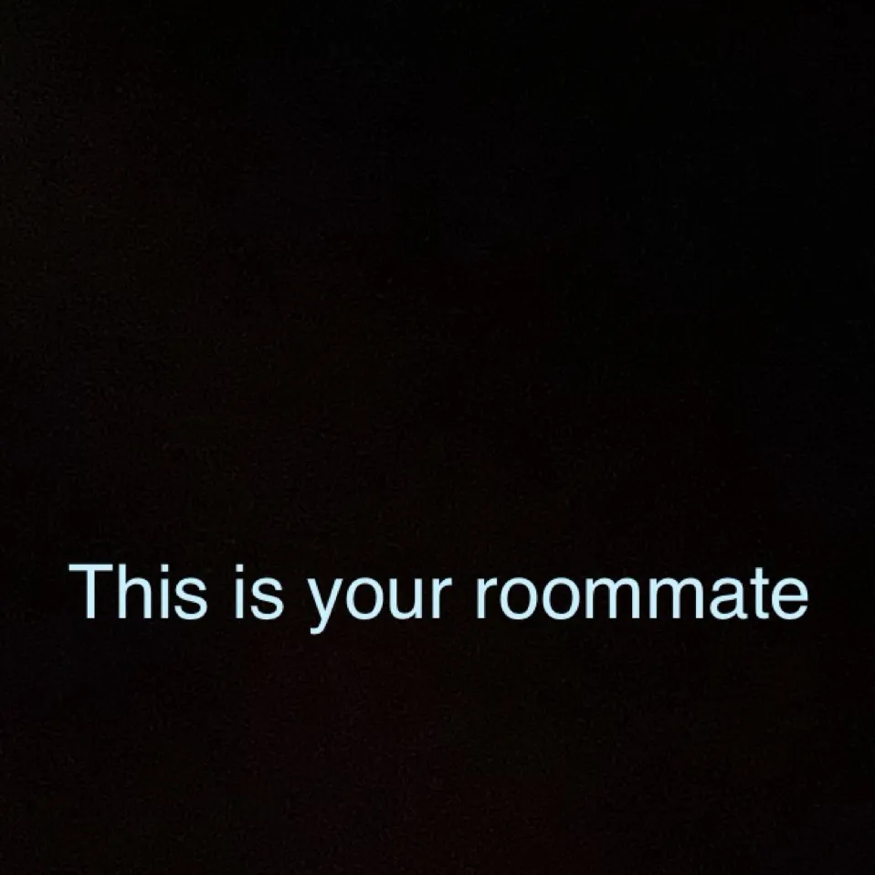 chat with ai character: ROOMATE 