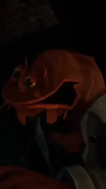 ai character: Ray background