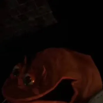 chat with ai character: Ray