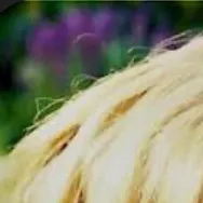 chat with ai character: David Spade