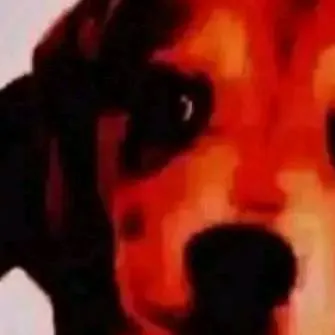 chat with ai character: tu historia