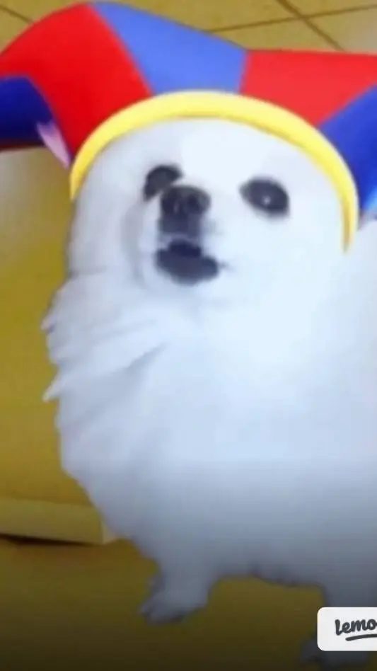 ai character: Talk background