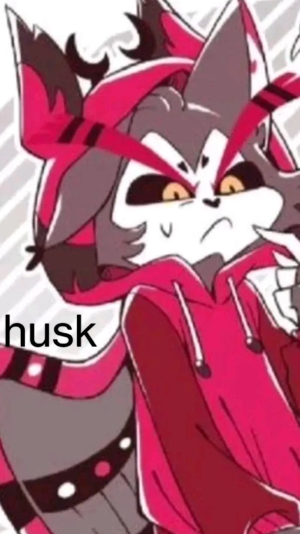 ai character: husk background