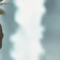 chat with ai character: Poop