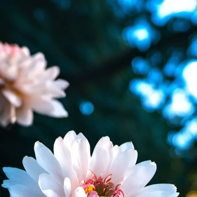 chat with ai character: raining tacos 🌮🌮🌮🌮