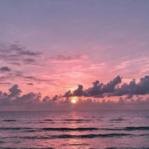 chat with ai character: mha roasting 